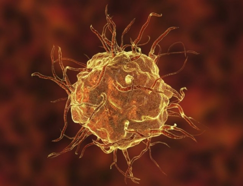3-D  Illustration of Macrophage Cell